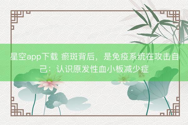 星空app下载 瘀斑背后，是免疫系统在攻击自己：认识原发性血小板减少症