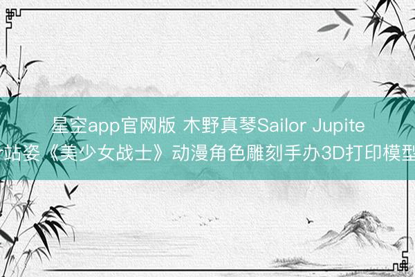 星空app官网版 木野真琴Sailor Jupiter站姿《美少女战士》动漫角色雕刻手办3D打印模型