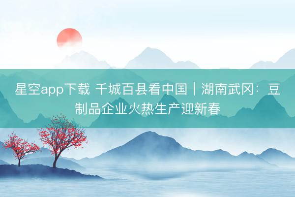 星空app下载 千城百县看中国｜湖南武冈：豆制品企业火热生产迎新春