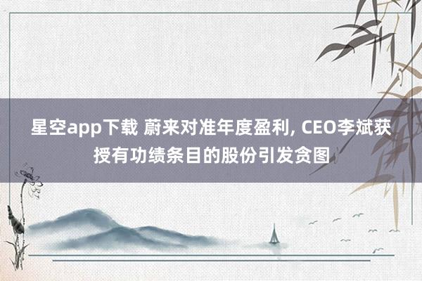 星空app下载 蔚来对准年度盈利， CEO李斌获授有功绩条目的股份引发贪图