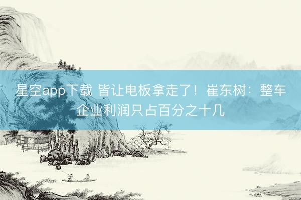 星空app下载 皆让电板拿走了！崔东树：整车企业利润只占百分之十几