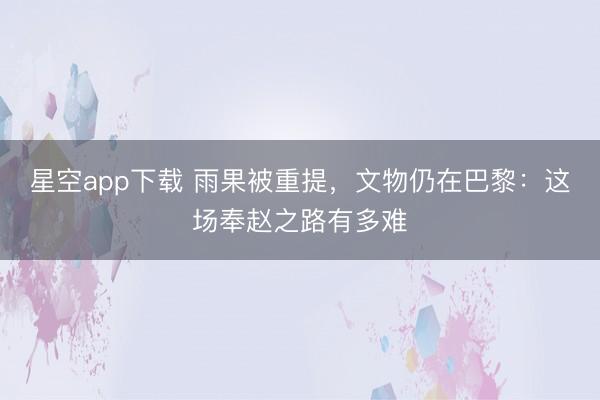 星空app下载 雨果被重提,文物仍在巴黎:这场奉赵之路有多难