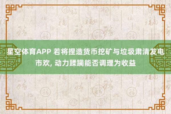 星空体育APP 若将捏造货币挖矿与垃圾肃清发电市欢, 动力蹂躏能否调理为收益