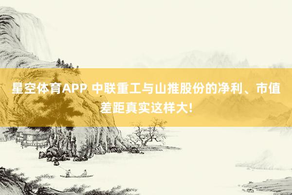 星空体育APP 中联重工与山推股份的净利、市值差距真实这样大!