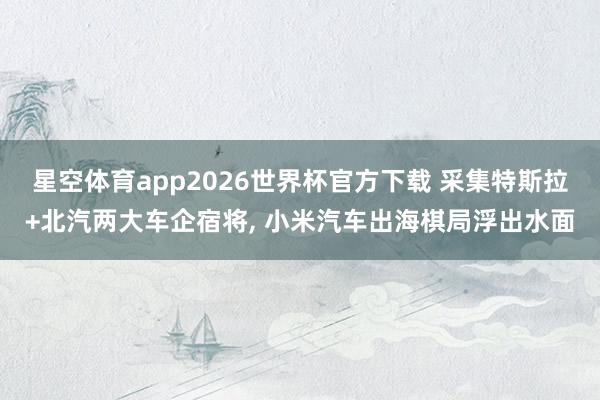 星空体育app2026世界杯官方下载 采集特斯拉+北汽两大车企宿将, 小米汽车出海棋局浮出水面