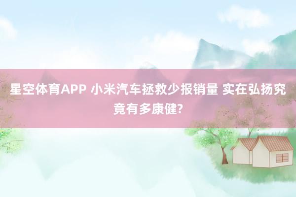 星空体育APP 小米汽车拯救少报销量 实在弘扬究竟有多康健?