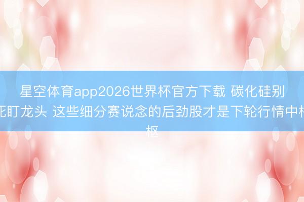 星空体育app2026世界杯官方下载 碳化硅别死盯龙头 这些细分赛说念的后劲股才是下轮行情中枢