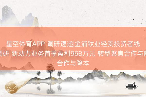 星空体育APP 调研速递|金浦钛业经受投资者线上调研 新动力业务首季盈利968万元 转型聚焦合作与降本