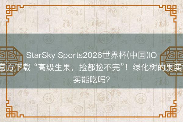StarSky Sports2026世界杯(中国)IOS/安卓官方下载 “高级生果,捡都捡不完”!绿化树的果实能吃吗?
