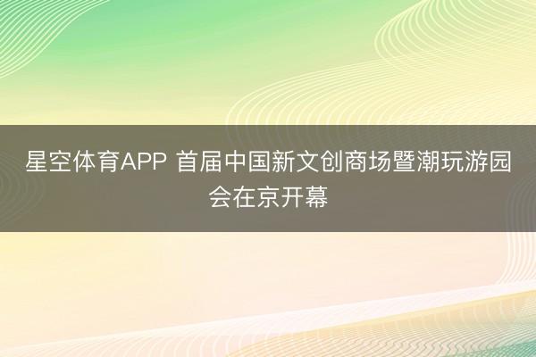 星空体育APP 首届中国新文创商场暨潮玩游园会在京开幕