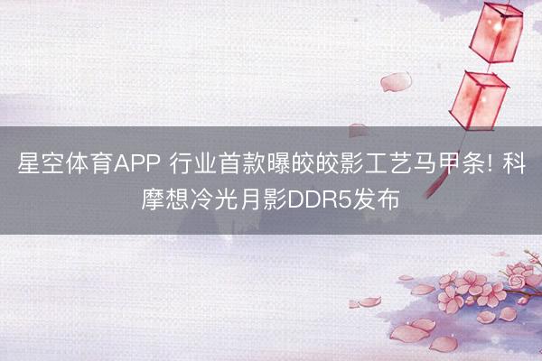 星空体育APP 行业首款曝皎皎影工艺马甲条! 科摩想冷光月影DDR5发布
