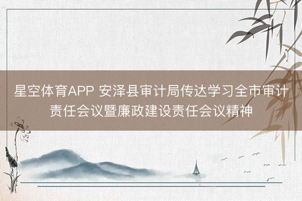 星空体育APP 安泽县审计局传达学习全市审计责任会议暨廉政建设责任会议精神