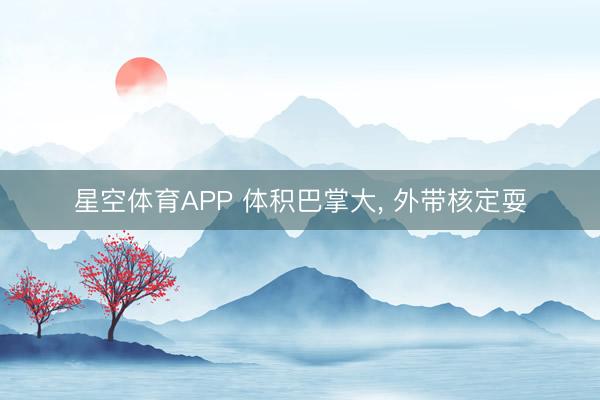 星空体育APP 体积巴掌大, 外带核定耍