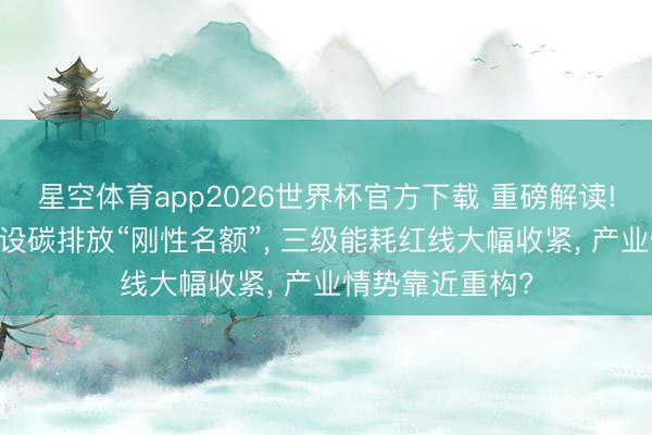 星空体育app2026世界杯官方下载 重磅解读! 工业硅行业首设碳排放“刚性名额”， 三级能耗红线大幅收紧， 产业情势靠近重构?