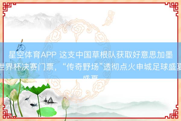 星空体育APP 这支中国草根队获取好意思加墨世界杯决赛门票，“传奇野场”透彻点火申城足球盛夏