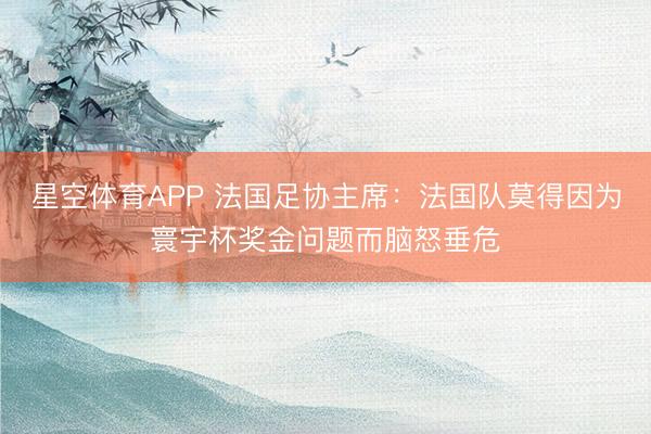 星空体育APP 法国足协主席：法国队莫得因为寰宇杯奖金问题而脑怒垂危